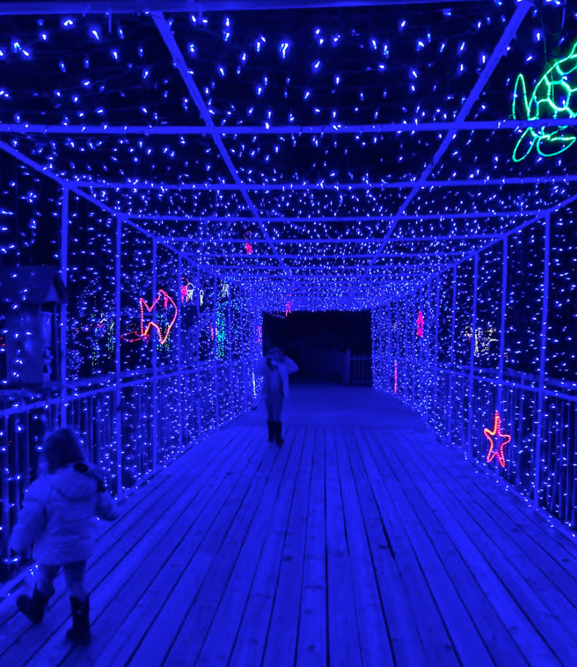 クリスマスセール‼️超レア‼️ヒヨコブランド　ダンガントキオ　別注ズィールeye仕様 Begin a New Holiday Tradition at the Topeka Zoo — TK Business Magazine
